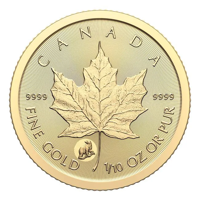 Vzácný Maple Leaf 2024, 1/10 oz zlata