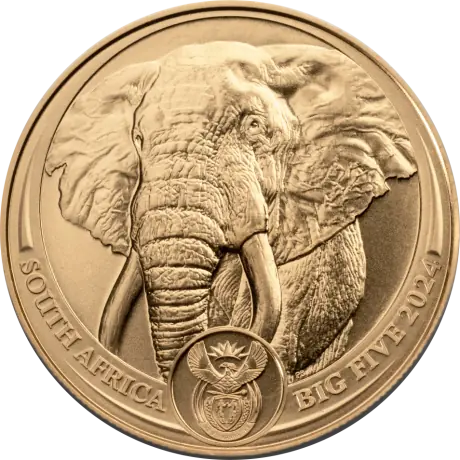 Zlatá minca Slon 2024 - Big Five, 1 oz